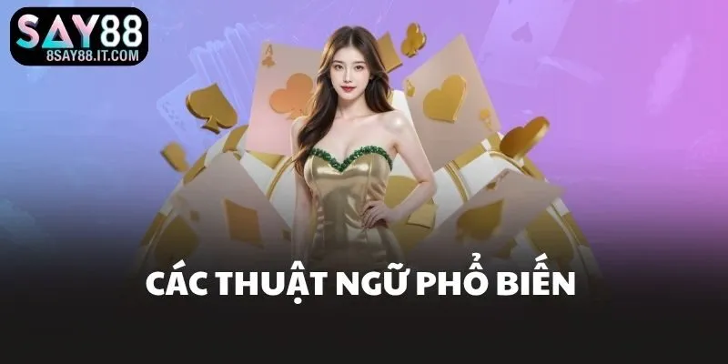 Các thuật ngữ phổ biến 