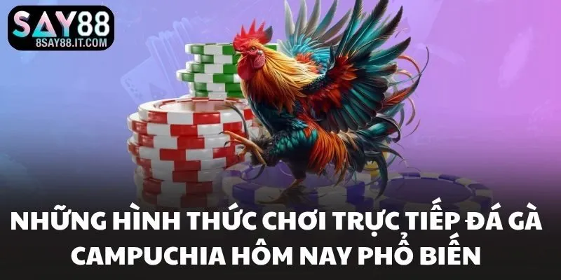 Những hình thức chơi trực tiếp đá gà campuchia hôm nay phổ biến