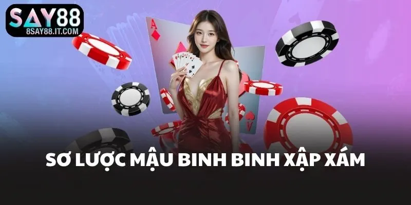 Sơ lược mậu binh binh xập xám